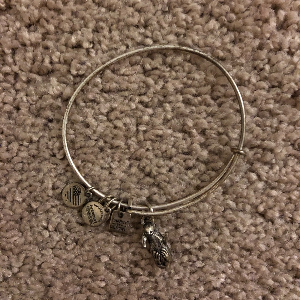 Alex and Ani Otter bracelet